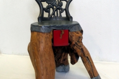 SAMSUNG CAMERA PICTURES