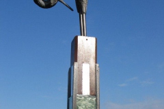 eiland-vogels-Ameland